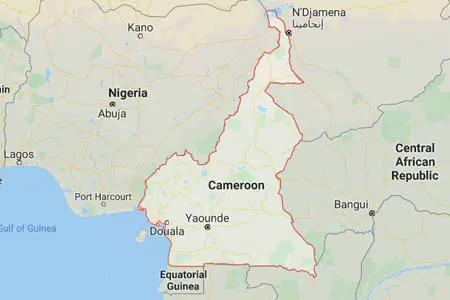 corporate investigator in Cameroon