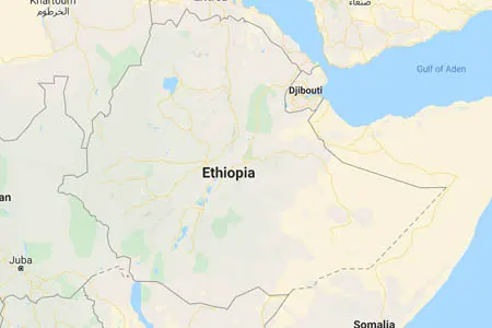 corporate investigator in Ethiopia