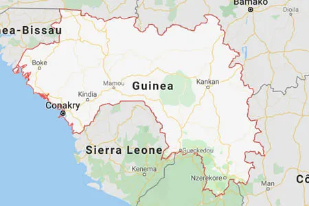 corporate investigator in Guinea