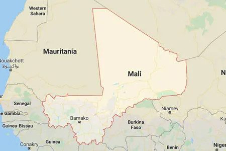 corporate investigator in Mali