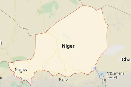 corporate investigator in Niger